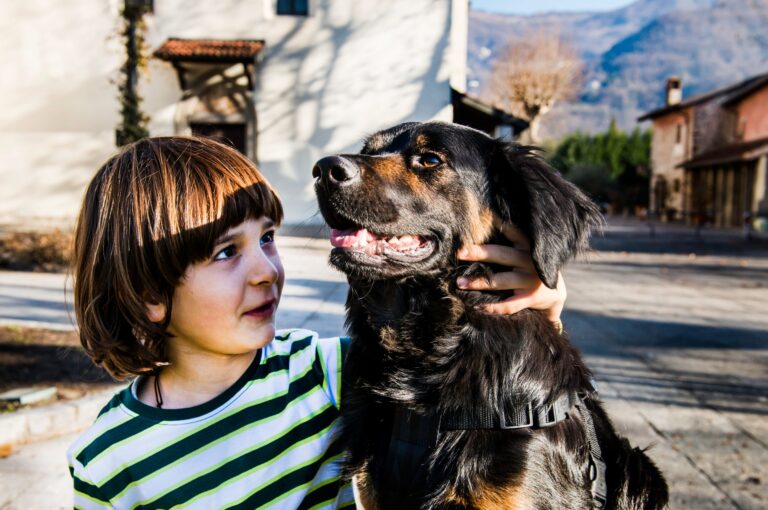 De beste hondenrassen voor gezinnen met kinderen