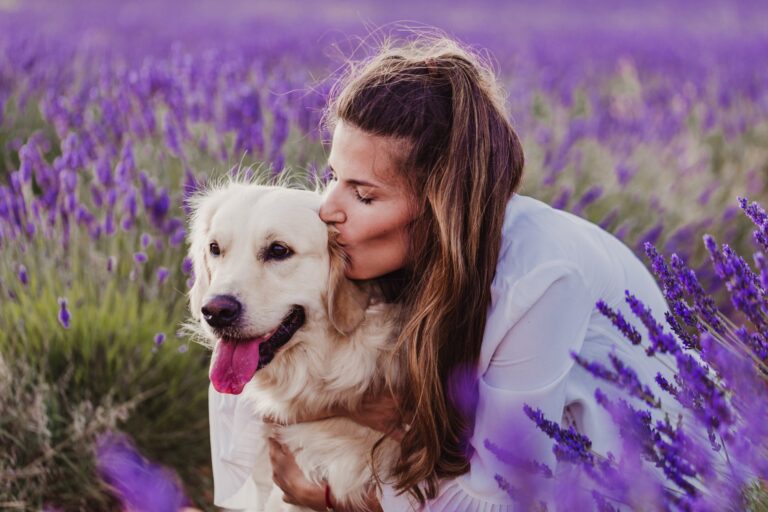 De beste manieren om je hond te verzorgen tijdens een verhuizing