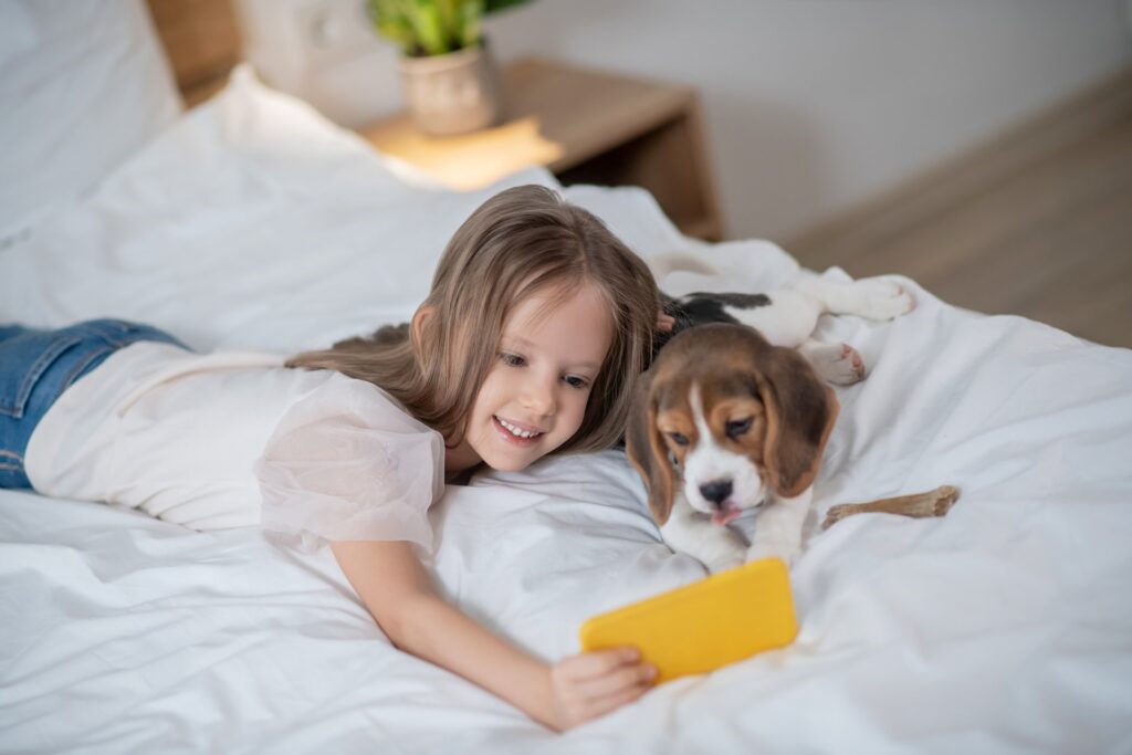 De essentiele tips voor puppytrainingsprogrammas
