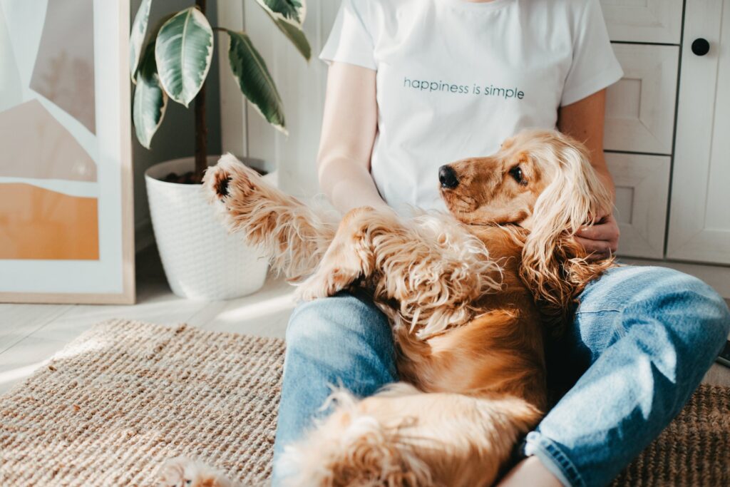 De gevaren van parvovirus bij honden en hoe je het kunt voorkomen