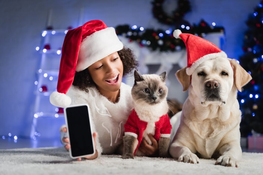 Hoe je de juiste voeding kunt kiezen voor je hond of kat met een specifieke activiteitsniveau