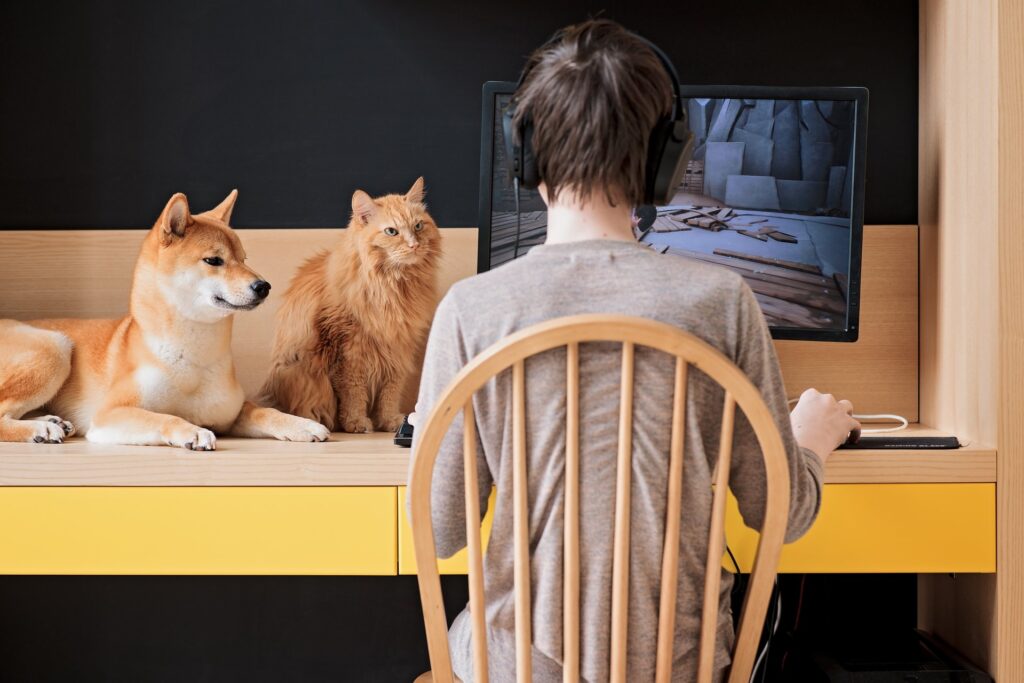 Hoe je de juiste voeding kunt kiezen voor je hond of kat met een specifieke stofwisseling