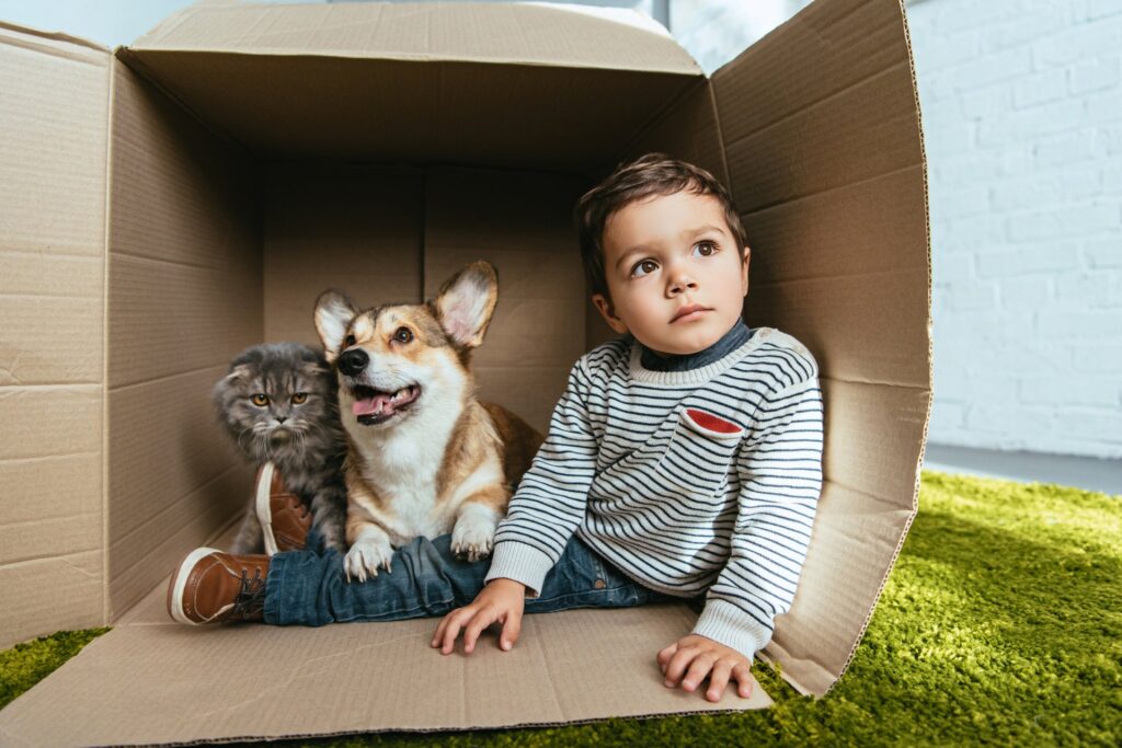 Hoe wetenschappelijk onderzoek ons helpt bij het begrijpen van de relatie tussen huisdieren en mensen