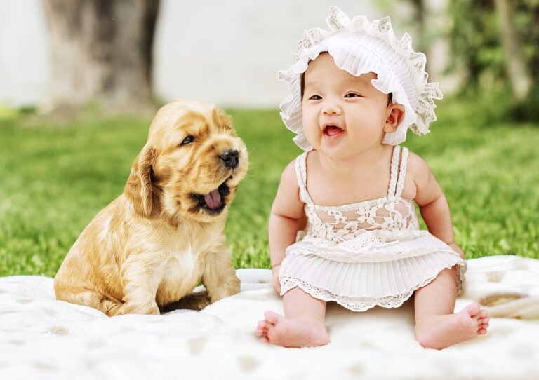 hoe je je hond kunt laten wennen aan een nieuwe baby